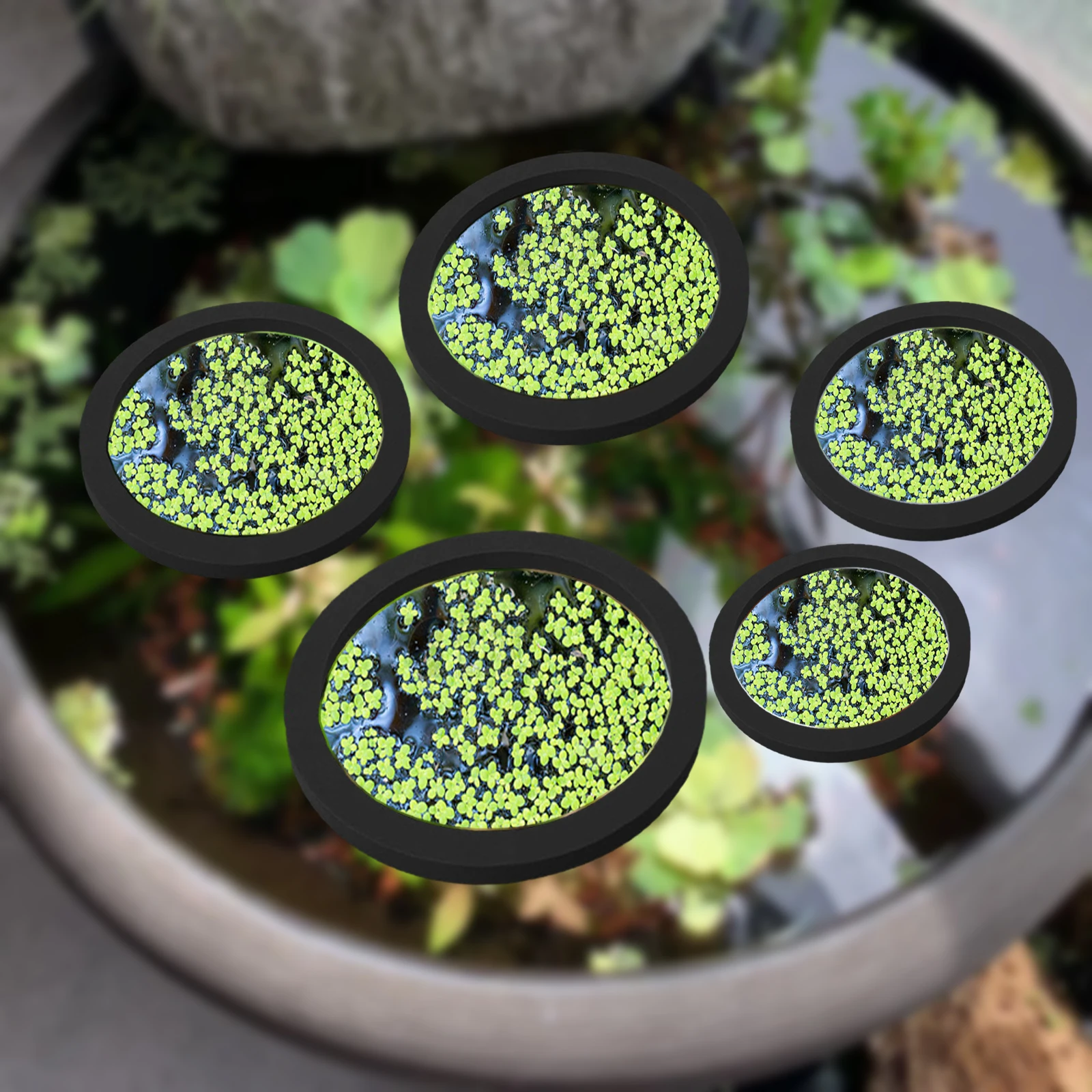Fish Aquarium Home - 5Pcs EVA Pierścień do karmienia ryb