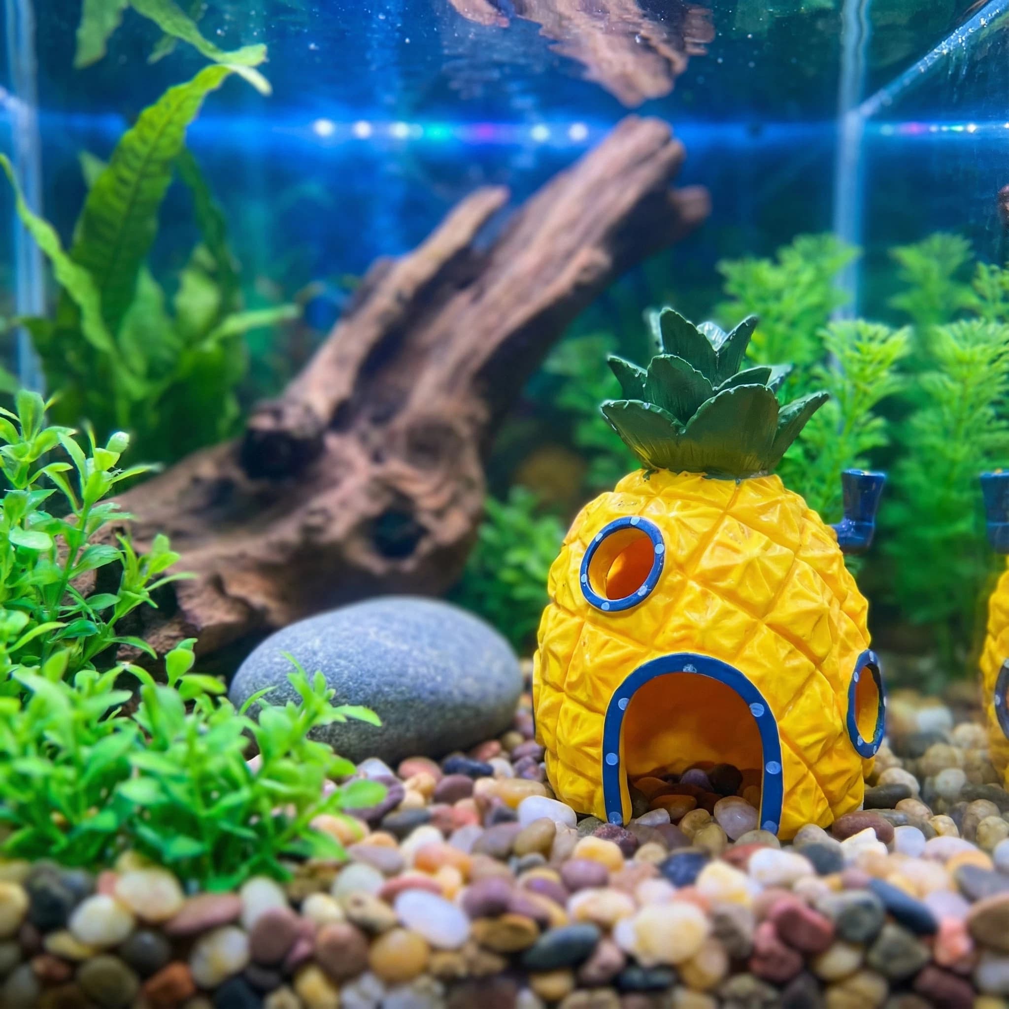 Aquarium Fish Games - Dekoracja akwariowa w kształcie ananasa, ekologiczna