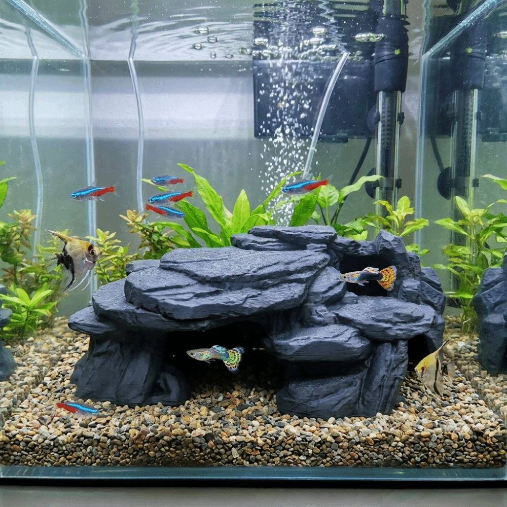 Ozdoby do akwarium z nadrukiem – Aquarium Fish Games recenzja i cena
