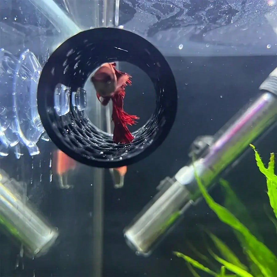 Akwarium Rybki Ukrycie Czarna  – Aquarium Fish Games recenzja i cena