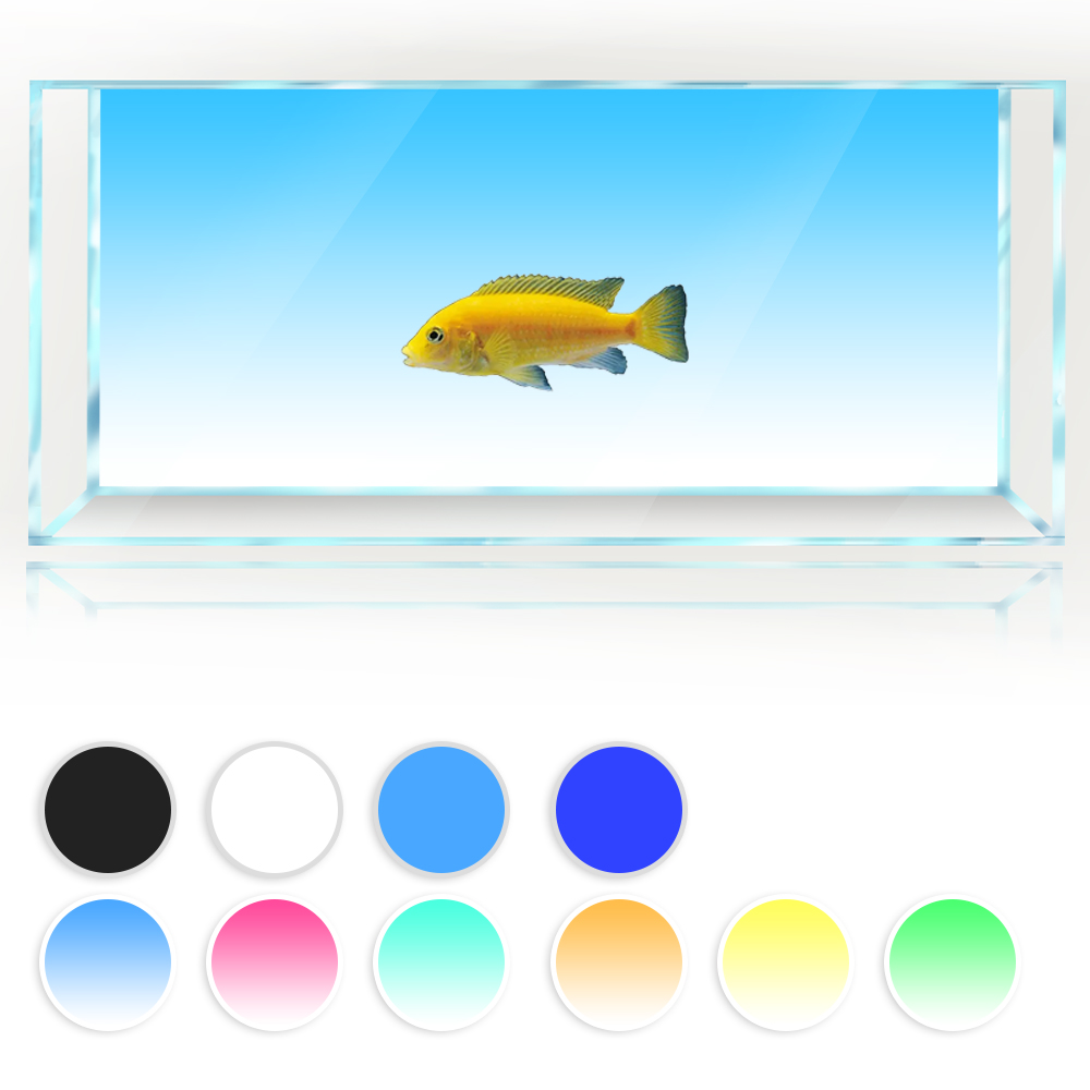 Tło akwarium Biały Żółty Zielo – Aquarium Fish Yellow And Black recenzja i cena