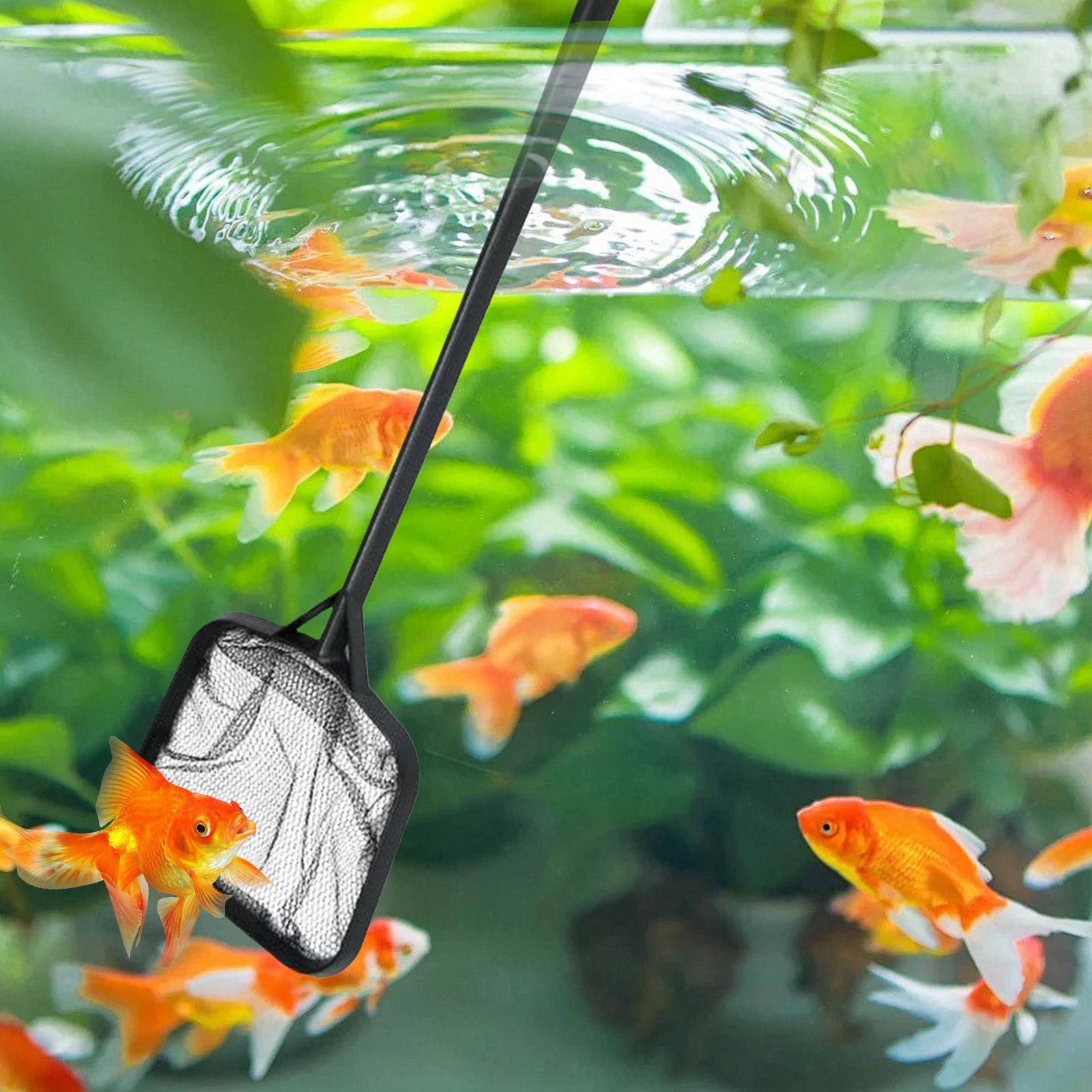 Siatki do czyszczenia basenów, – Aquarium Fish Accessories recenzja i cena