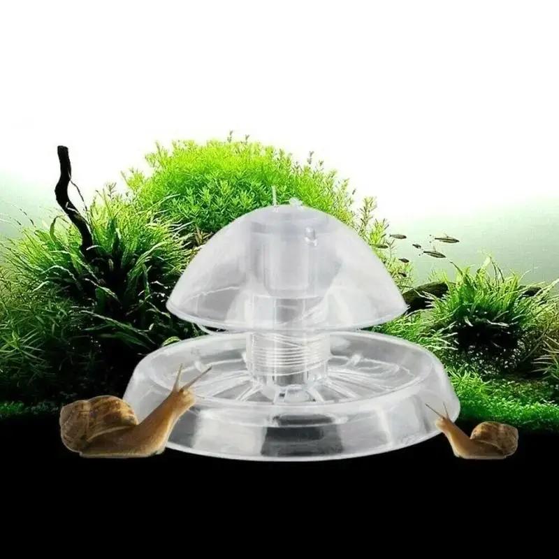 2026 Nowa przezroczysta plasti – Aquarium Fish To Buy recenzja i cena