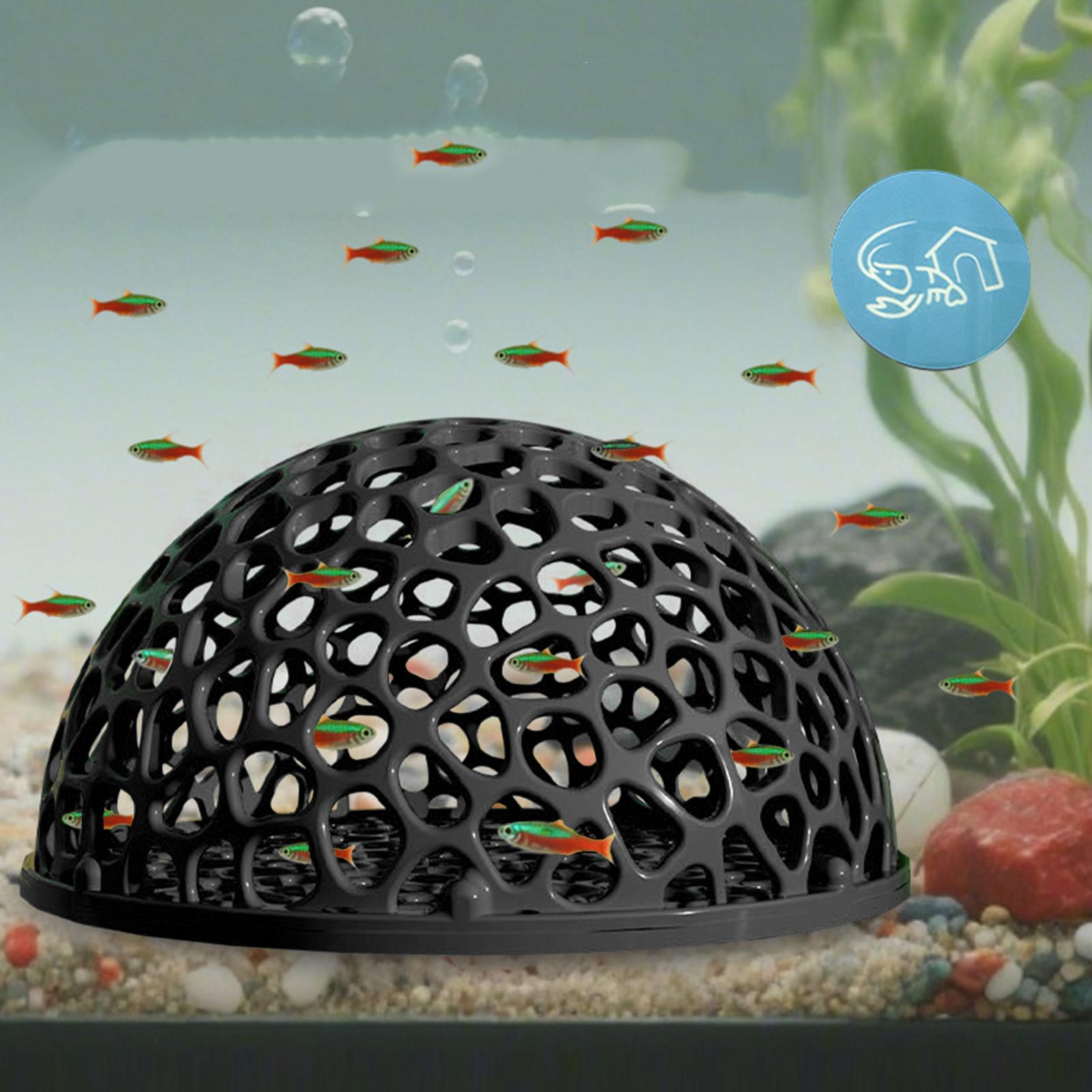 Akwarium Ukryte Gniazdo Jaskin – Aquarium Fish Games recenzja i cena