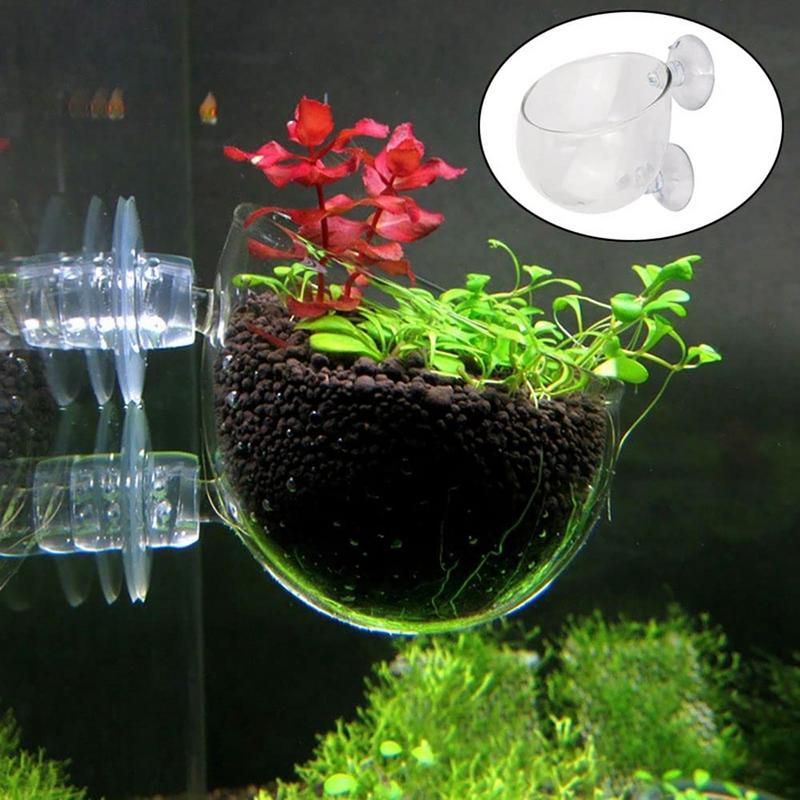 Dekoracje akwariowe Kubek na r – Aquarium Fish Games recenzja i cena