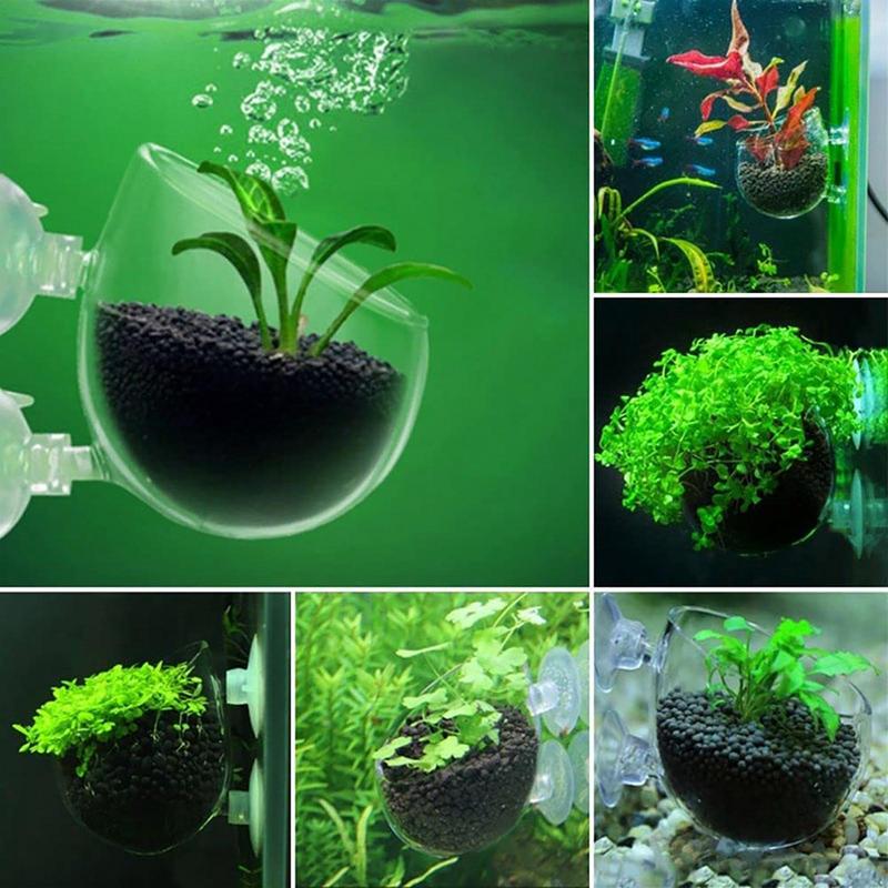 Dekoracje akwariowe Kubek na r – Aquarium Fish Games recenzja i cena