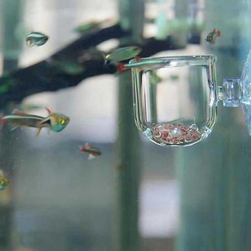 Dekoracje akwariowe Kubek na r – Aquarium Fish Games recenzja i cena