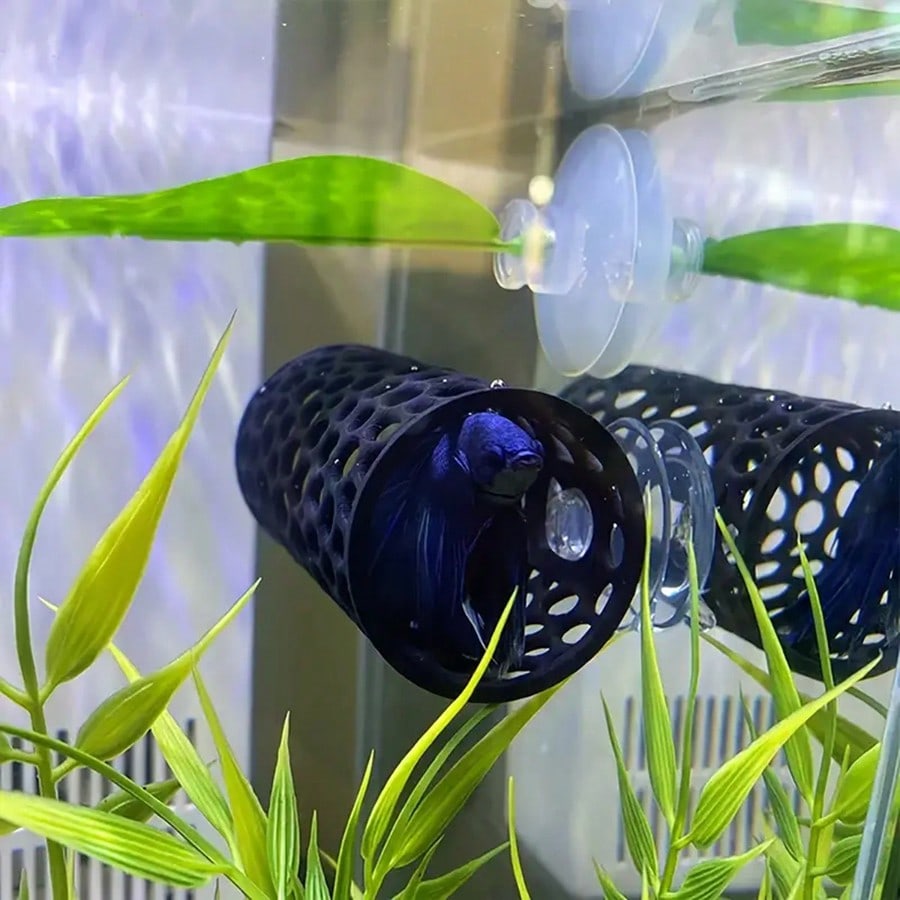 Kryjówka dla rybki Betta, pust – Aquarium Fish Games recenzja i cena