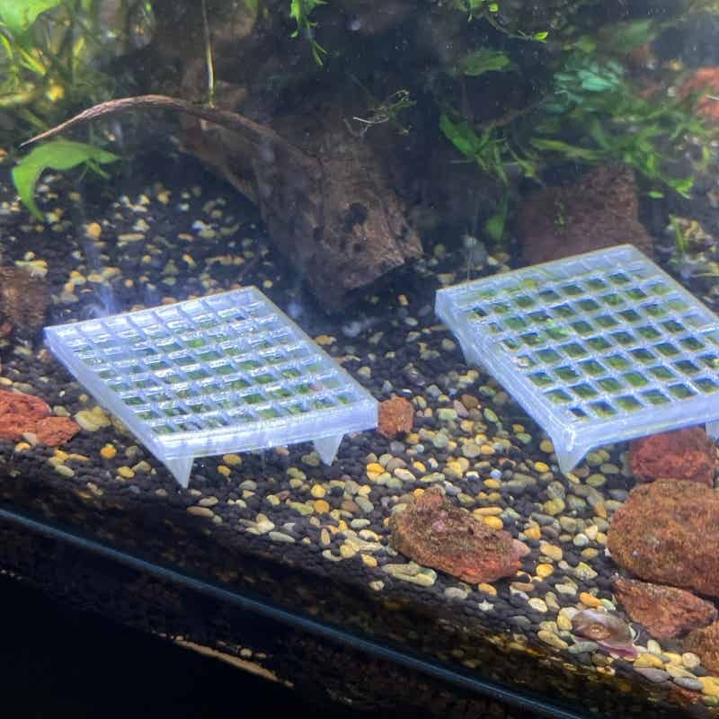 Siatka do mocowania mechu akwa – Aquarium Fish Elevator recenzja i cena