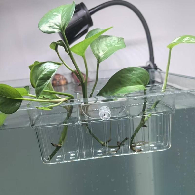 Hydroponiczny koszyk na roślin – Fish Aquarium Home recenzja i cena