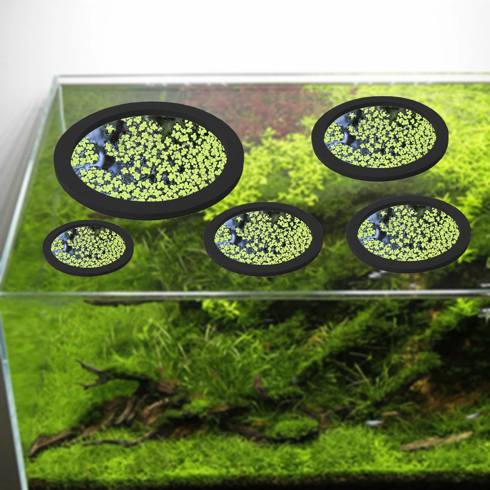 5Pcs EVA Pierścień do karmieni – Fish Aquarium Home recenzja i cena