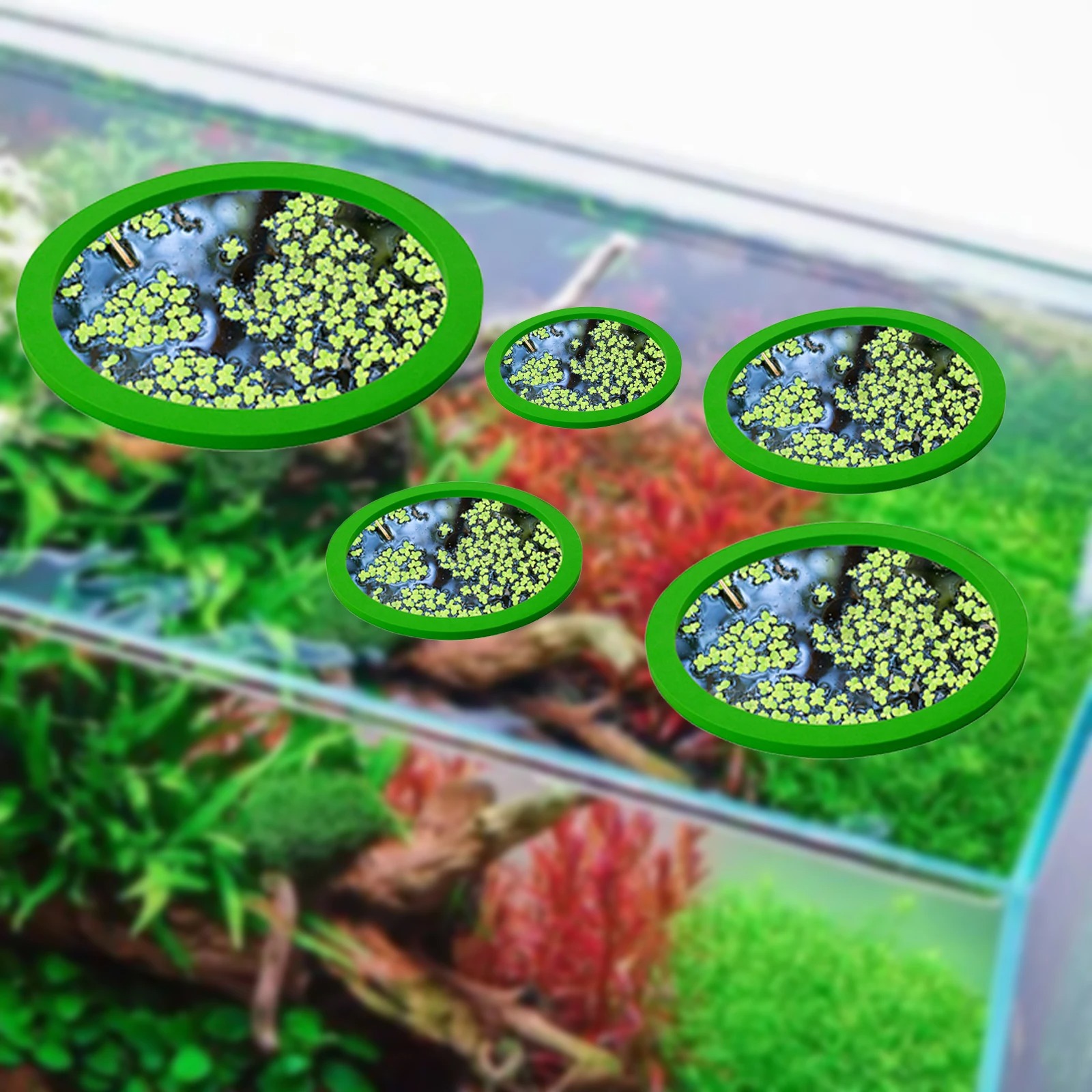 5Pcs EVA Pierścień do karmieni – Fish Aquarium Home recenzja i cena