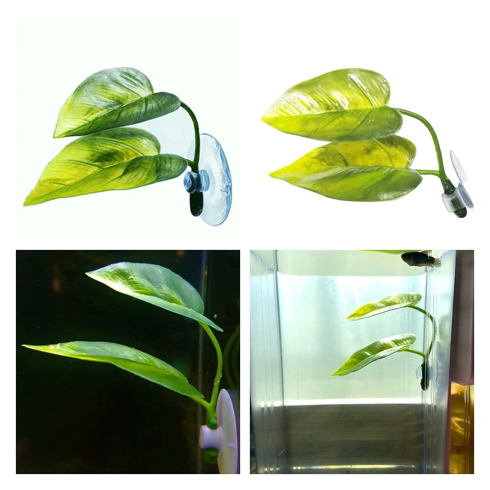 Dekoracje do akwarium dla ryb, – Aquarium Fish Games recenzja i cena