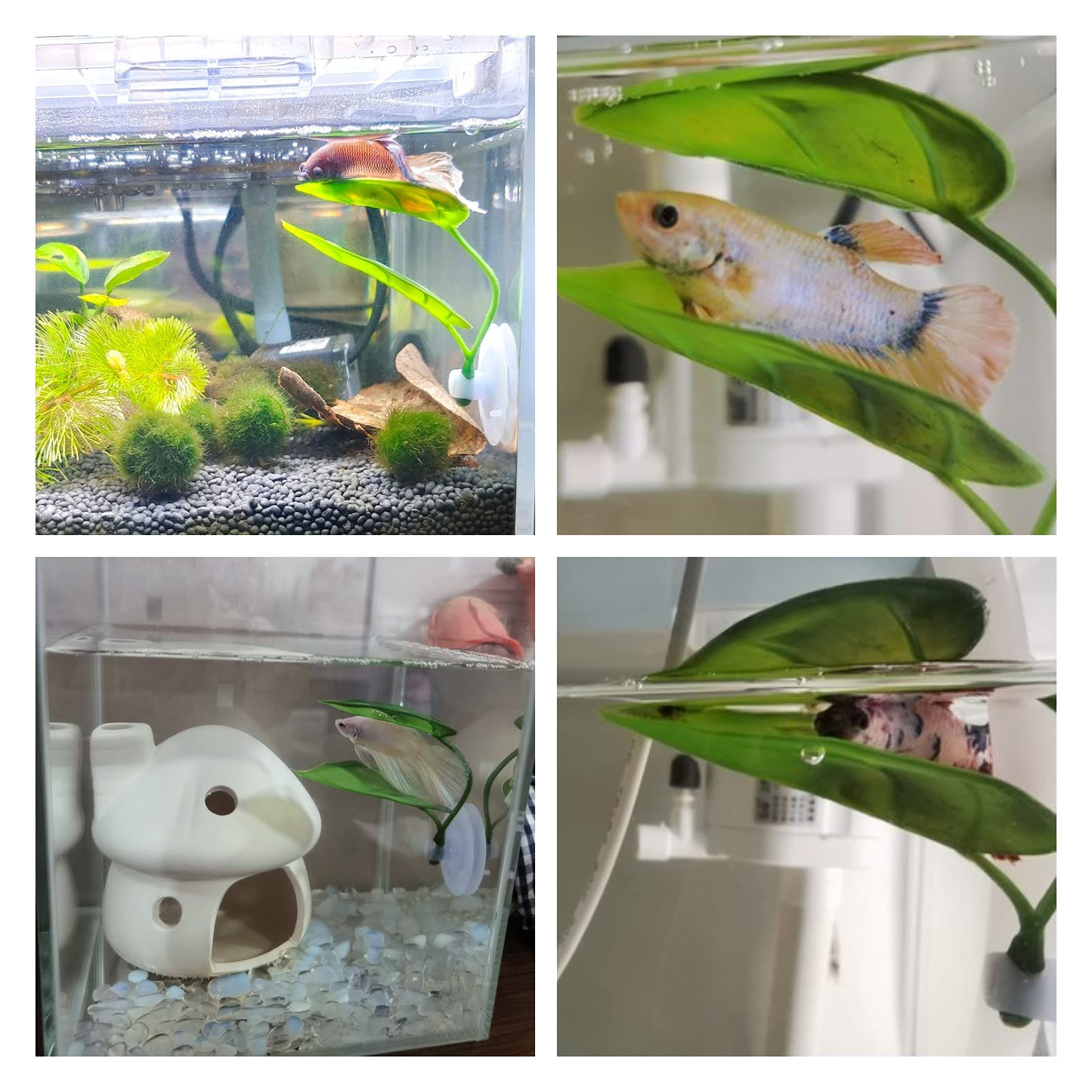 Dekoracje do akwarium dla ryb, – Aquarium Fish Games recenzja i cena