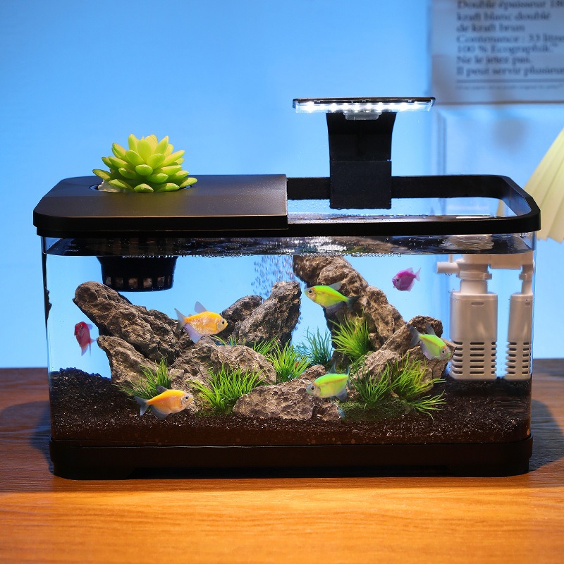Akwarium stołowe z filtrem obi – Fish Aquarium Home recenzja i cena