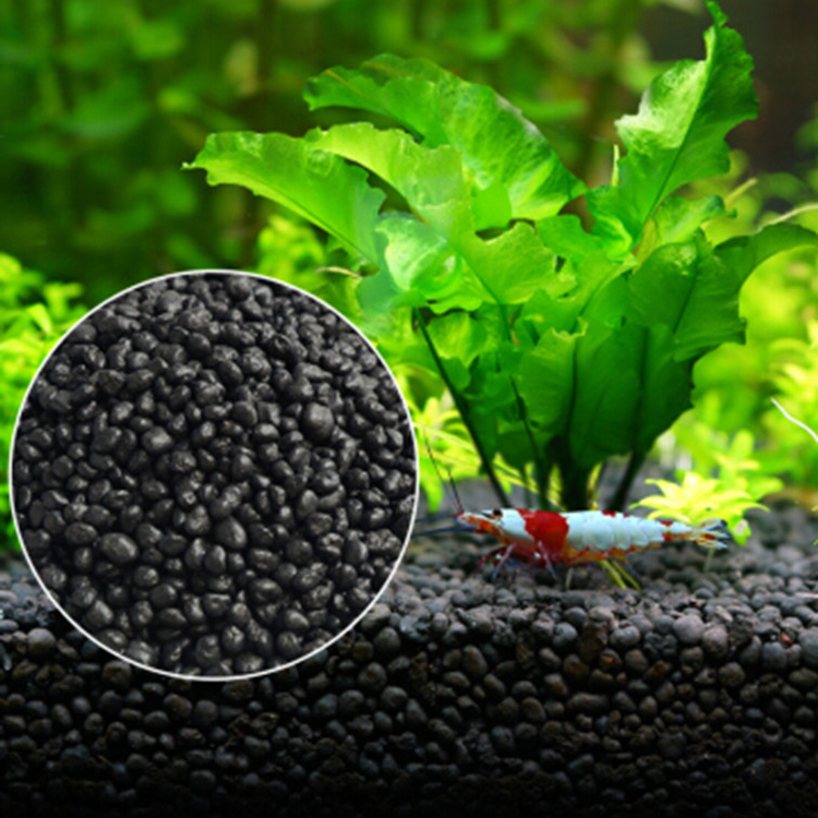 Roślina akwariowa nasiona gleb – Aquarium Fish Accessories recenzja i cena