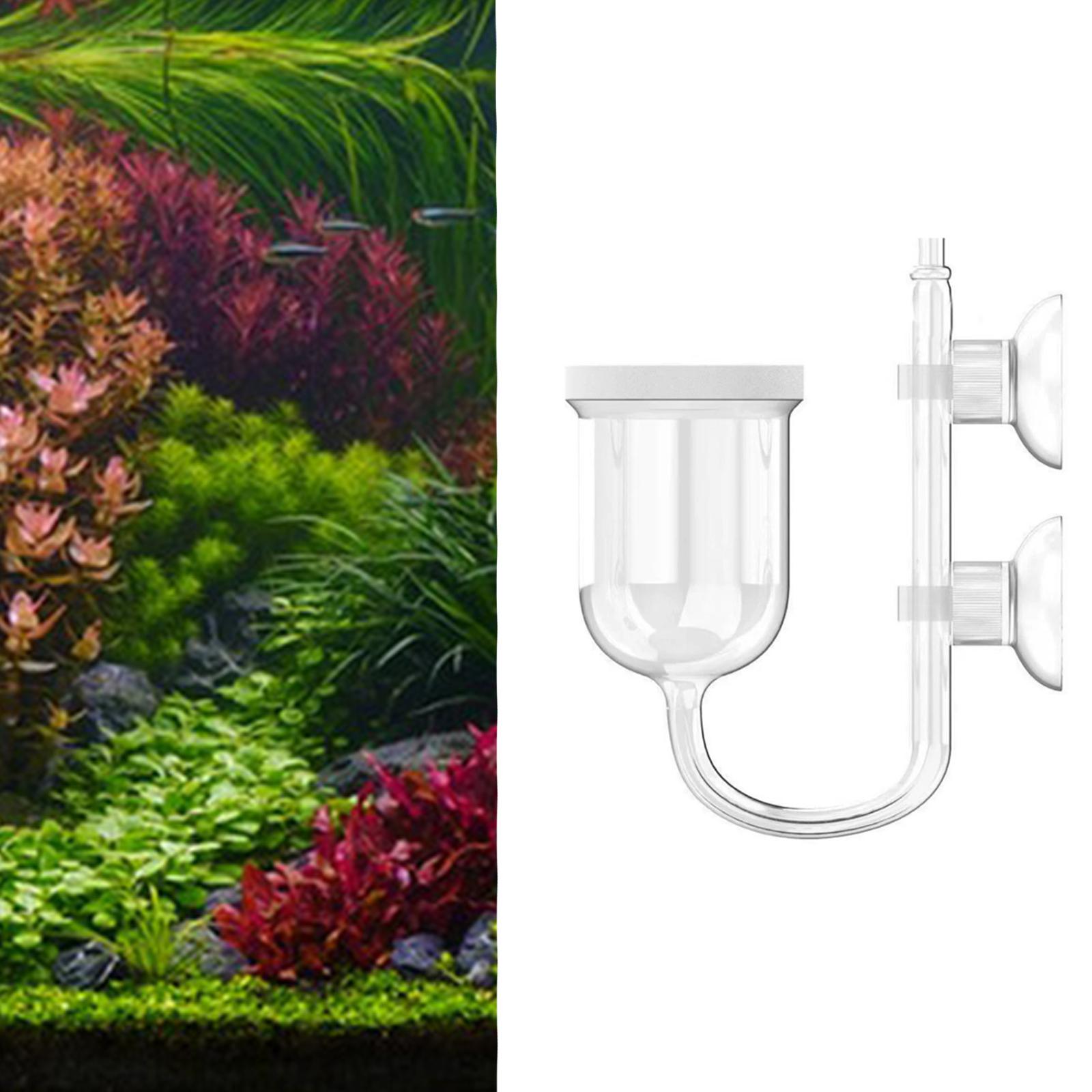 Szklany dyfuzor CO2 przezroczy – Co2 Diffuser Planted recenzja i cena